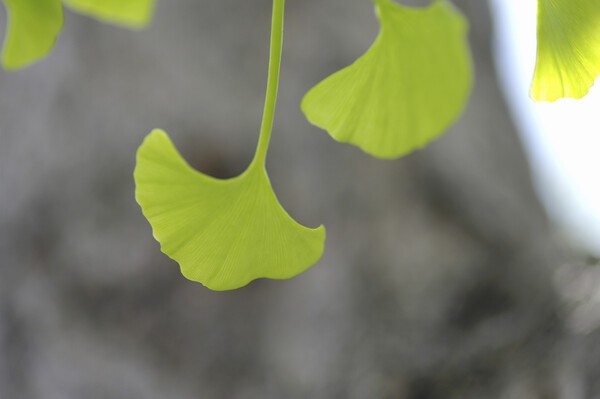 이미지출처 : 게티이미지뱅크