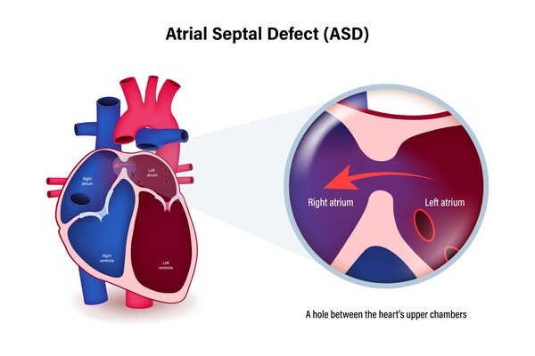 이미지 출처 : 게티이미지뱅크.