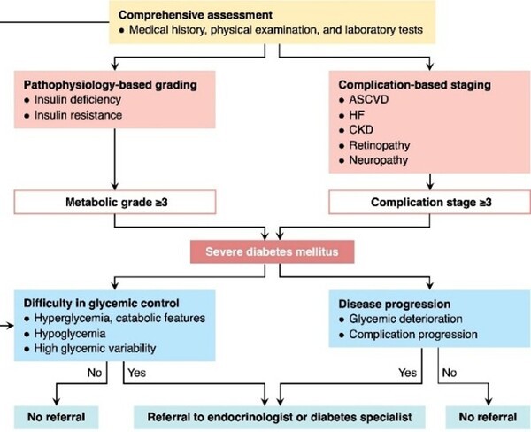 2025년 당뇨병 진료지침에 제안된 중증당뇨병 개념 