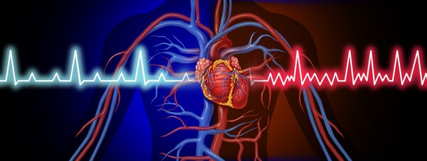 이미지 출처 : 게티이미지뱅크.