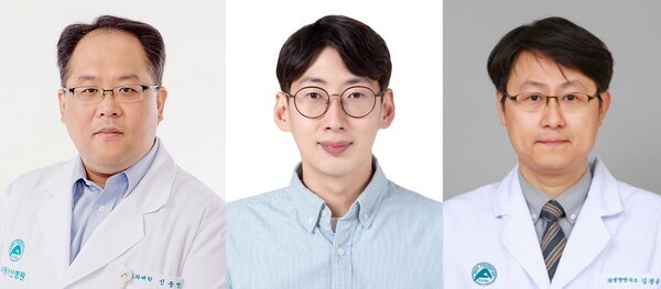 기사 제목 '줄기세포 치료제 안전성·효율 높이는 기전 규명'의 대표 이미지