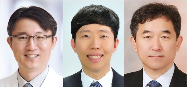 기사 제목 '탈모 극복 핵심 표적 ‘입모근’ 전구 세포 규명돼'의 대표 이미지