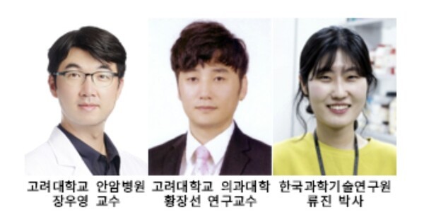 기사 제목 '분말형 재생 하이드로겔 재생소재 개발'의 대표 이미지