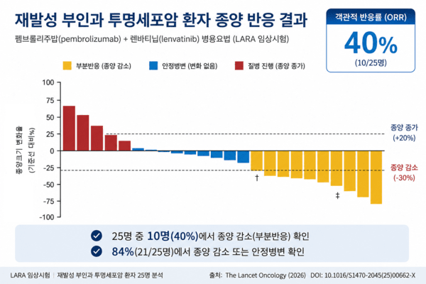 기사 제목 '재발성 부인암, 면역항암제·표적치료제 병용으로 활로 찾아'의 대표 이미지