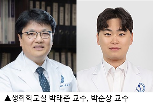 기사 제목 '항노화 치료 전략, ‘세포 기능 회복’으로 확장돼야 '의 대표 이미지