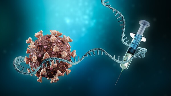 [창간 25주년] RNA 기반 암백신·희귀질환 치료제 , 치열한 적응증 확대... - 뉴스 썸네일 이미지