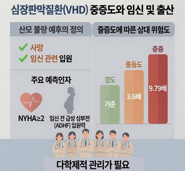 기사 제목 '삼성서울병원, 판막질환 산모 출산 30년 기록 발표'의 대표 이미지