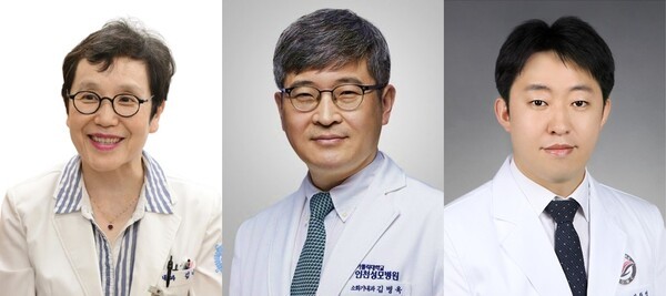 기사 제목 '소화성궤양, 고령 여성·약물 사용 고려 지침 마련 필요'의 대표 이미지