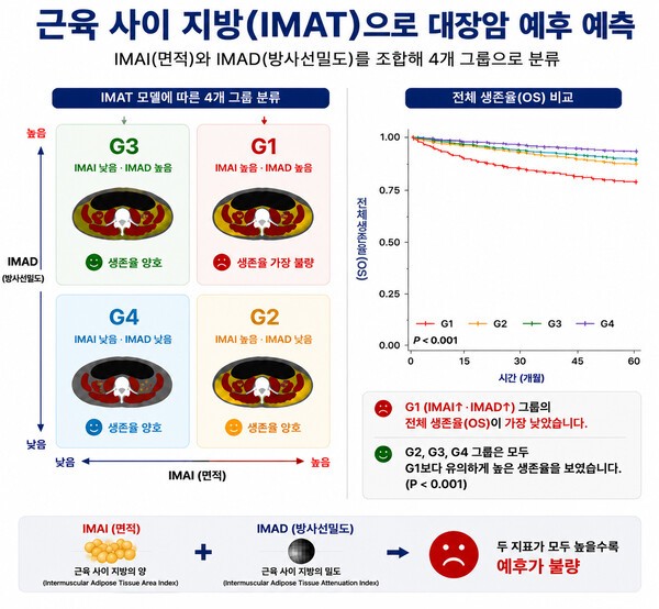 기사 제목 '대장암 생존율 ‘근육 사이 지방’이 가른다'의 대표 이미지