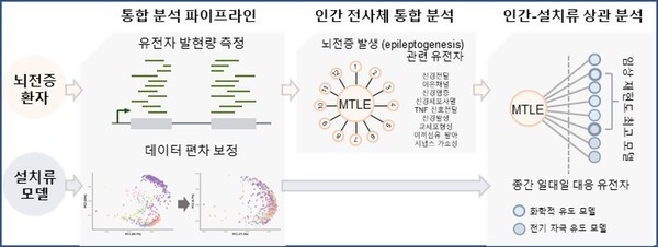 기사 제목 '뇌전증 치료제 개발 정확도 높아진다'의 대표 이미지
