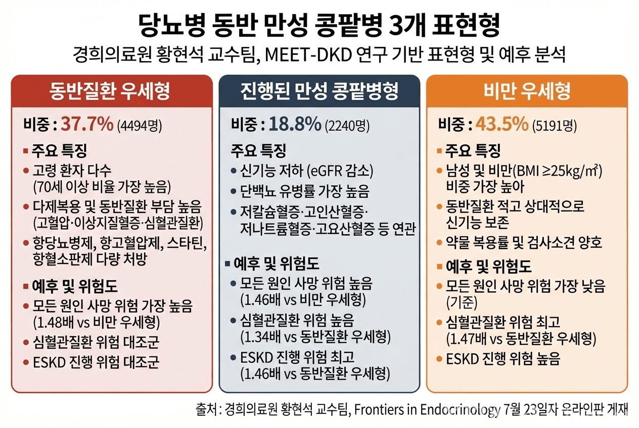 기사 제목 '당뇨병 동반 콩팥병, 표현형 따라 ‘3가지’ 하위유형 제시'의 대표 이미지