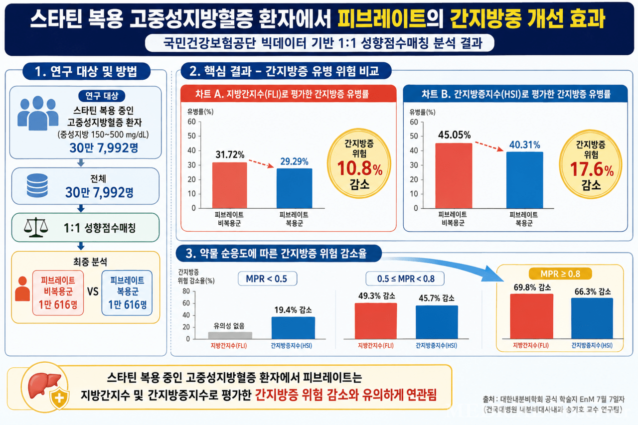 기사 제목 '피브레이트, 이상지질혈증 환자 지방간 개선 보조옵션으로 기대'의 대표 이미지