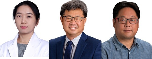 기사 제목 '자궁내막증 통증, 신경·면역·내분비 복합기전으로 진단해야'의 대표 이미지