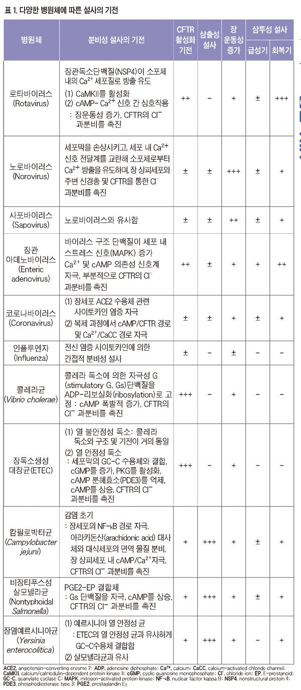 기사 제목 '다양한 병원체 유발 장염에서 Racecadotril의 유용성'의 대표 이미지