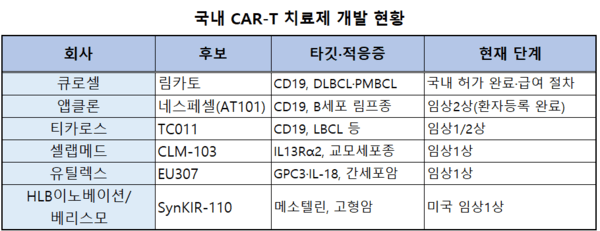 림카토 이은 CAR-T 국내 후발주자 경쟁 레이스 - 뉴스 썸네일 이미지