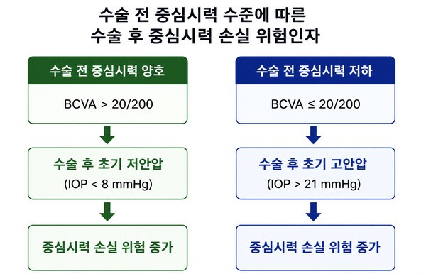 기사 제목 '중증 녹내장, 수술법보다 ‘수술 후 안압관리’가 핵심'의 대표 이미지