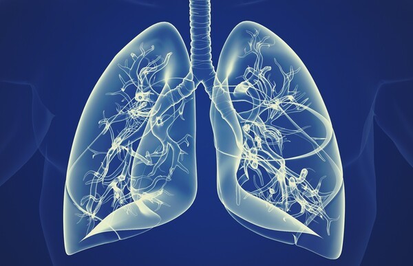 브레즈트리, COPD 급여 진입으로 흡입제 경쟁 3각 구도 - 뉴스 썸네일 이미지